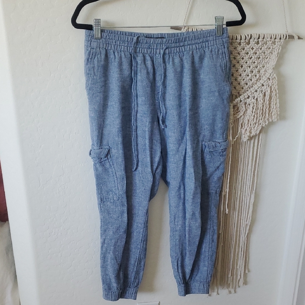 Banana Republic Chambray Blue Pants